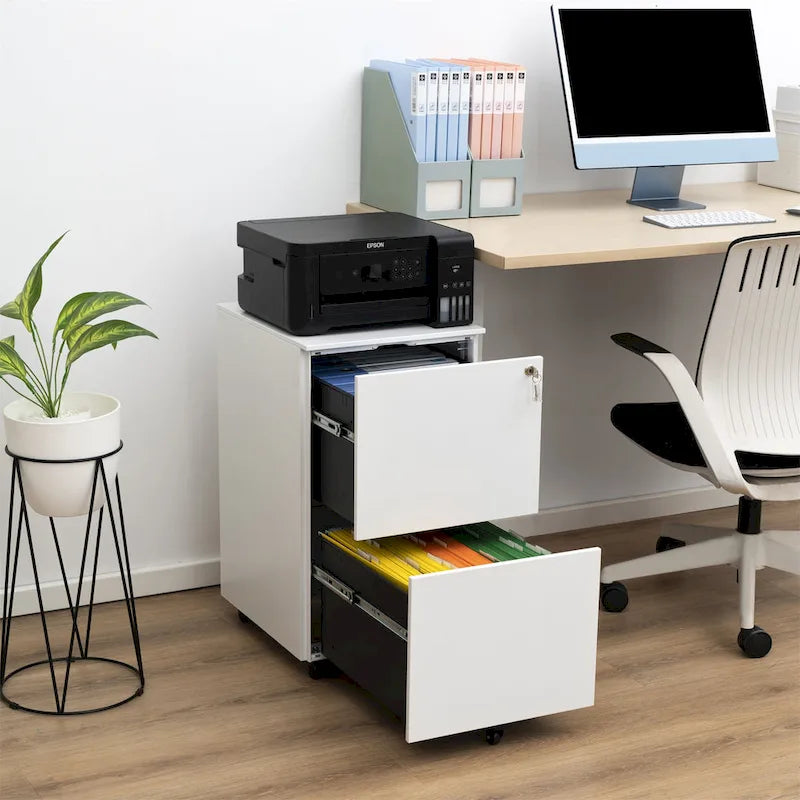 2 Drawer Steel Mobile Filing Cabinet with Lock and Anti-tilt Wheels