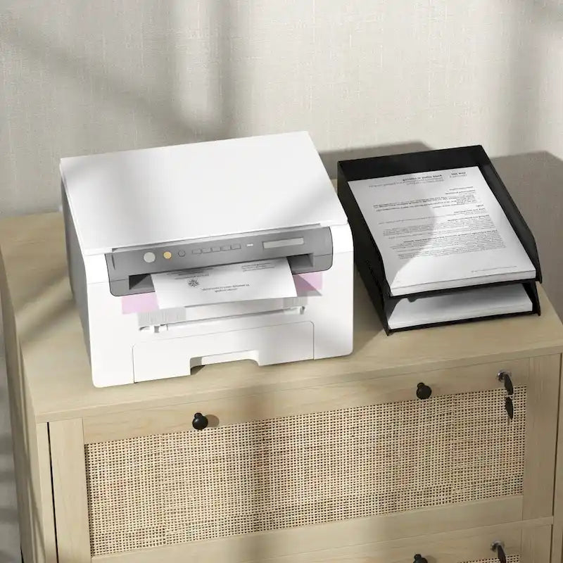2 Drawer File Cabinet with Lock and Keys, Rattan Drawers and Adjustable Hanging Bar for Letter, A4 and Legal Size Paper, Natural